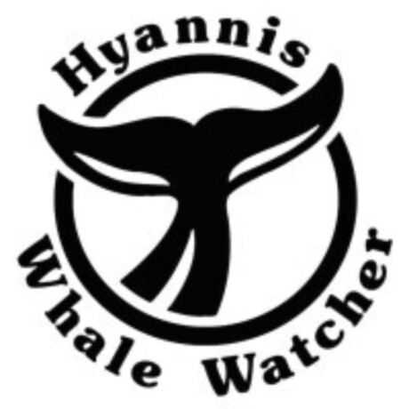 Hyannis whale watcher cruises