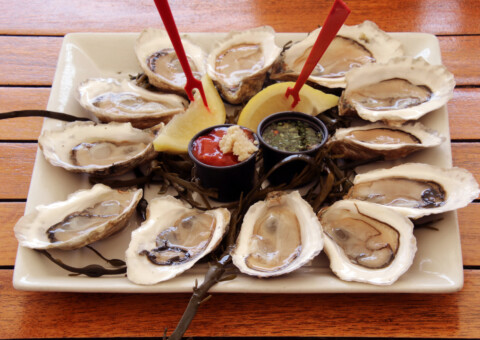 Wellfleet Oysters credit Paul Scharff