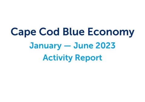 BEF jan 2023 to june 2023 board report V2