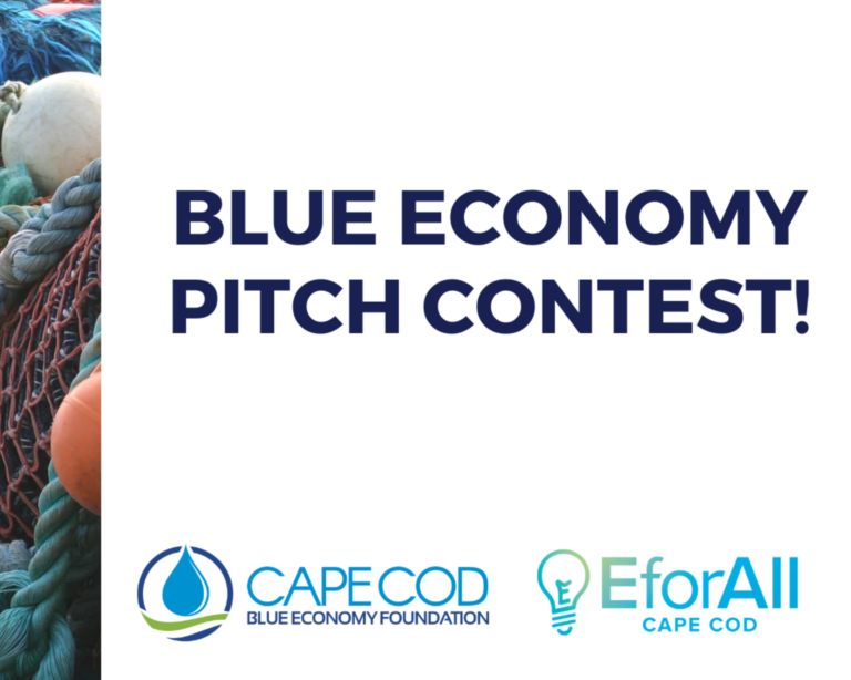 Blue Economy Pitch Contest Banner eventbrite 2160 1080 px 1