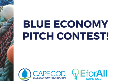 Blue Economy Pitch Contest Banner eventbrite 2160 1080 px 1