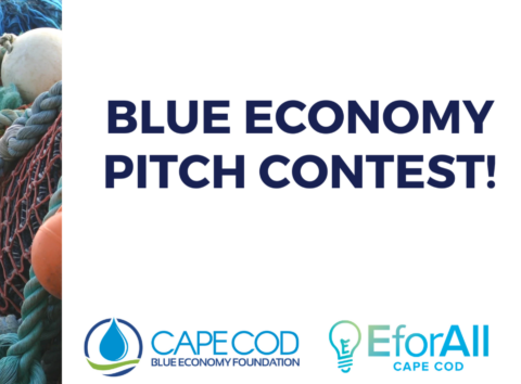 Blue Economy Pitch Contest Banner eventbrite 2160 1080 px 1